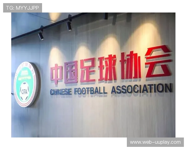 足球遗产计划:推动足球运动持续发展的战略与实践 足球遗产计划:推动足球运动持续发展的战略与实践