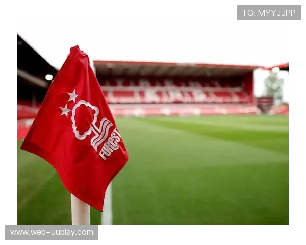 诺丁汉森林主场球迷横幅抗议裁判争议判罚